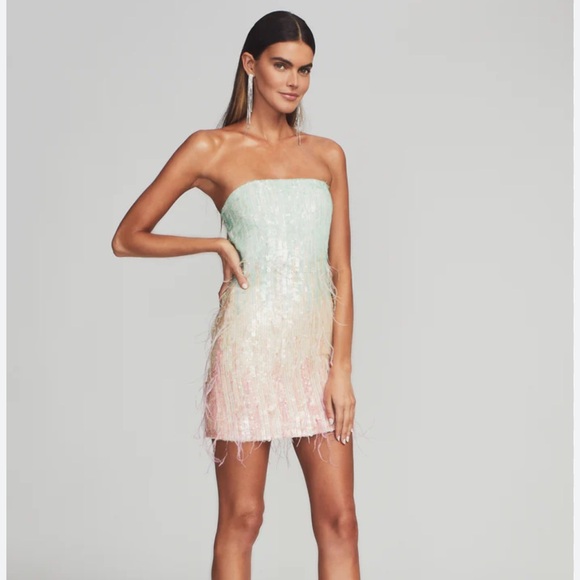 MAJOR ISO THESE DRESSES!!!! - Picture 2 of 3